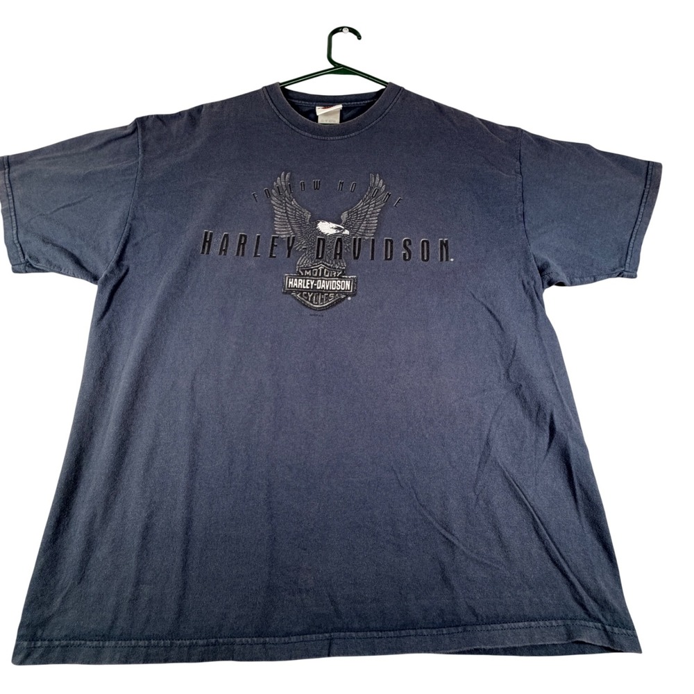 Harley Davidson Pikes Peak Colorado T-Shirt Mens XL Blue Eagle Flames